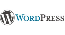 wordpress web design advertmetrics